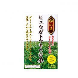ヒュウガトウキのお茶